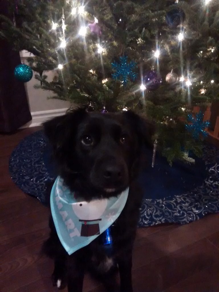 Christmas is over...a New Year is about to begin!