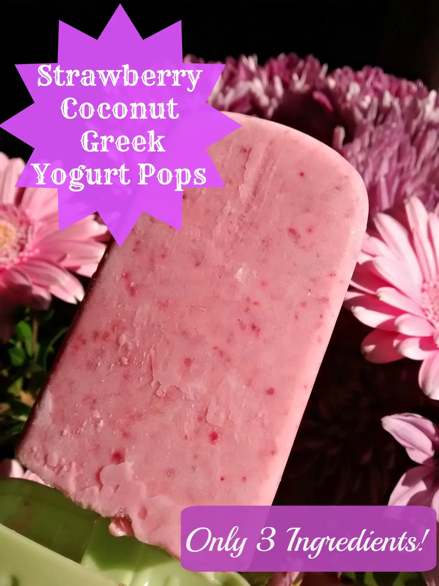 Yogurt Pop