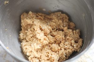 Oatmeal Peanut Butter Dough in Kitchen Aid bowl