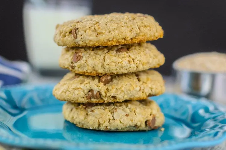 Chewy-Chocolate-Oat-Cookies