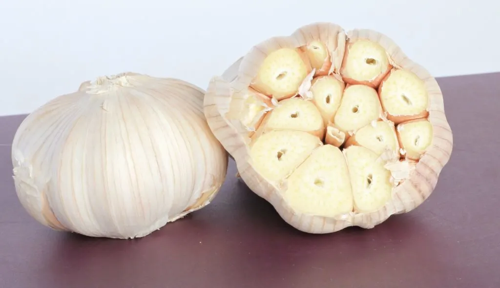 whole garlic bulb with top cut off before roasting, sitting on cutting board.