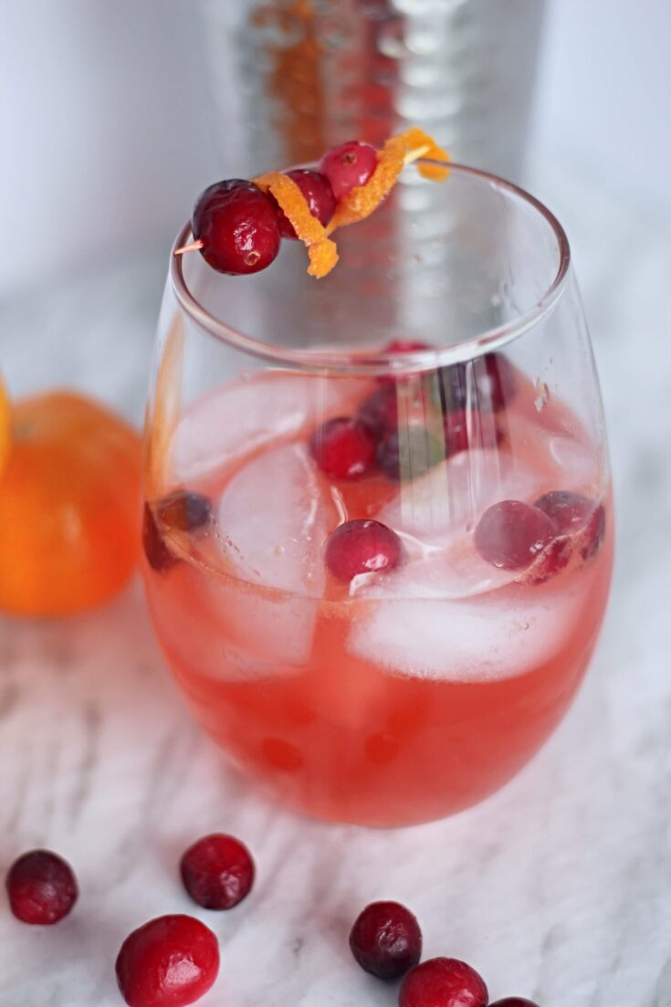 Holiday Cranberry Cocktail Garnished