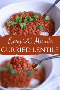 Curried Lentils long pin