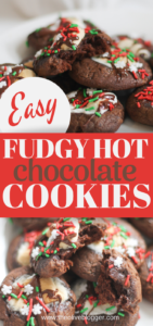 Easy fudgy hot chocolate cookies