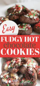 Easy fudgy hot chocolate cookies