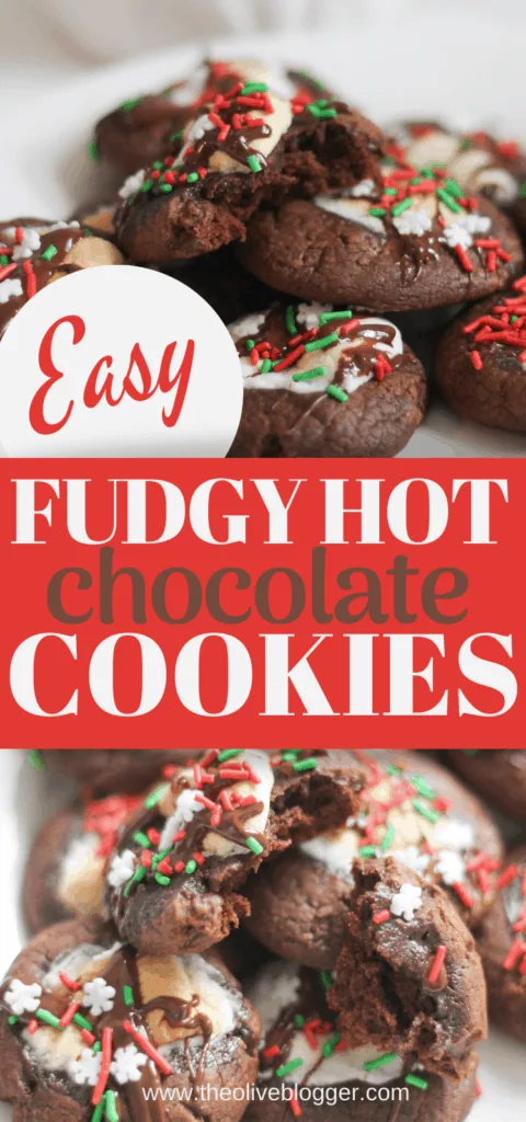 Easy fudgy hot chocolate cookies 