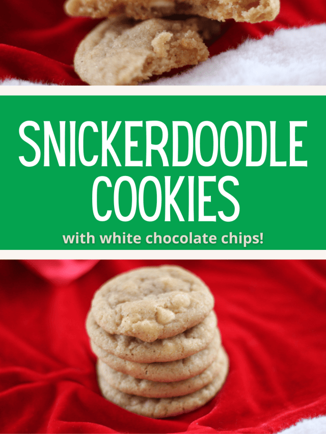 BEST Snickerdoodle Cookies – A Christmas Cookie you HAVE to Make!